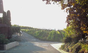 Kirchheim Scenes 13.jpg